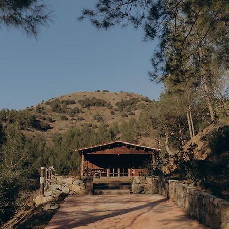 לימסול Bosco Paradiso מראה חיצוני תמונה