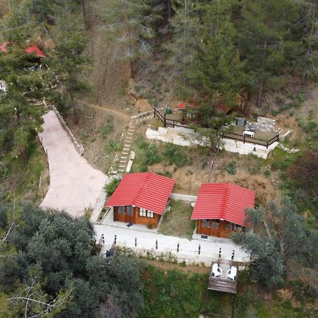 לימסול Bosco Paradiso מראה חיצוני תמונה