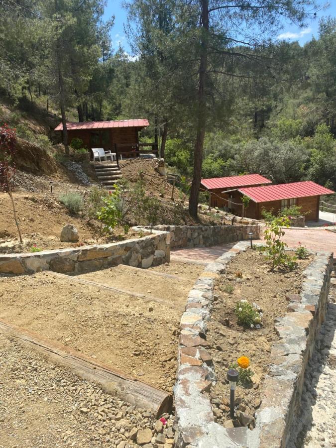 לימסול Bosco Paradiso מראה חיצוני תמונה