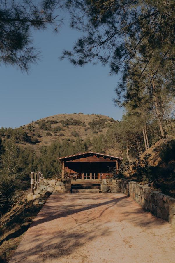 לימסול Bosco Paradiso מראה חיצוני תמונה