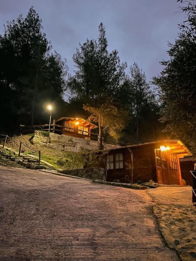 לימסול Bosco Paradiso מראה חיצוני תמונה