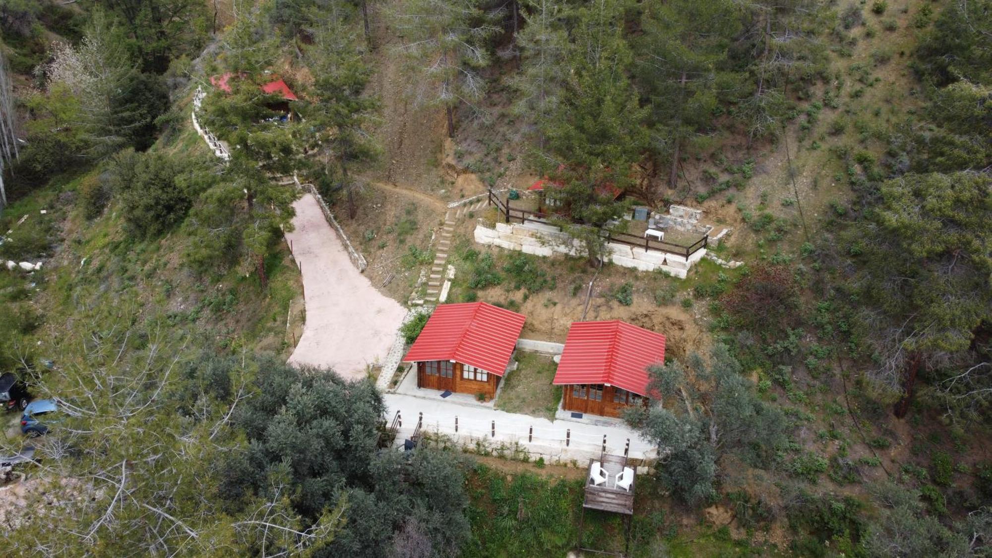 לימסול Bosco Paradiso מראה חיצוני תמונה